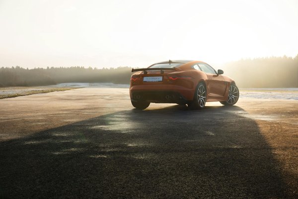 What are the key ingredients for an irresistible Welsh rarebit?